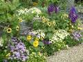 Rock wall flower border